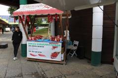 Mini IMG 0039